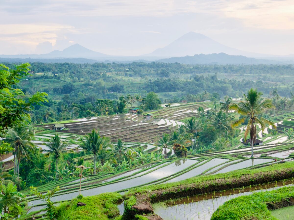 Jatiluwih world heritage site and cultural landscape in Bali