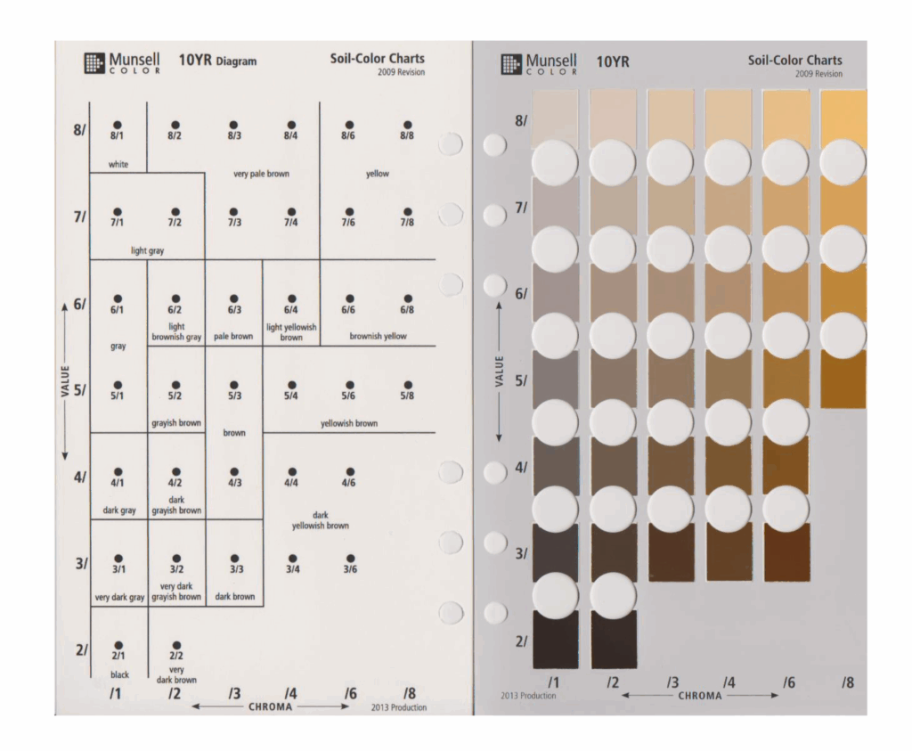 Munsell chart