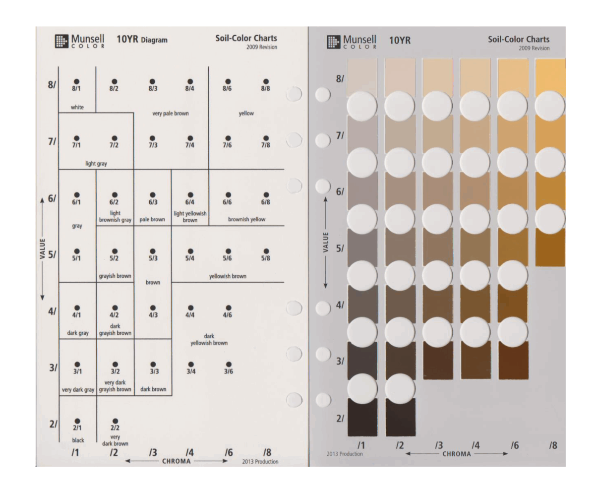 Munsell chart