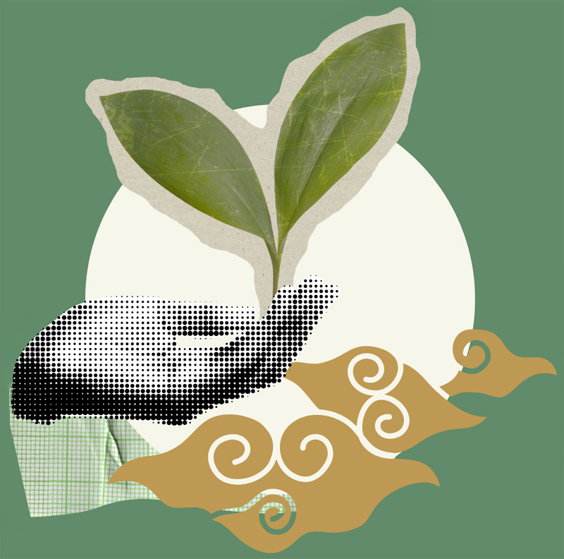 illustration of hand growing seeds against a green background with gold clouds