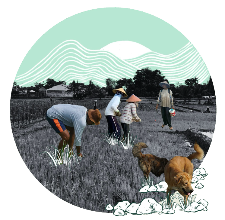 Illustration of farmers working in a rice field